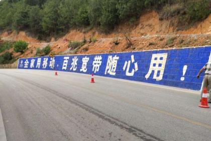 墙体广告在四川地区的传播力量与市场价值探析